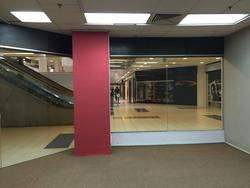 THE ADELPHI (D6), Retail #125871472